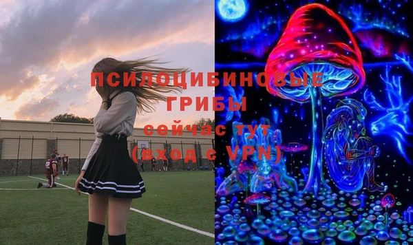 крисы Белоозёрский
